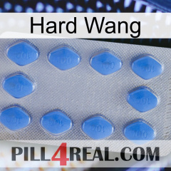 Hard Wang 21